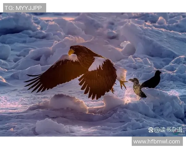 绝境重生还是遗憾告别？奥运亚军五比八落败，一场未完待续的史诗